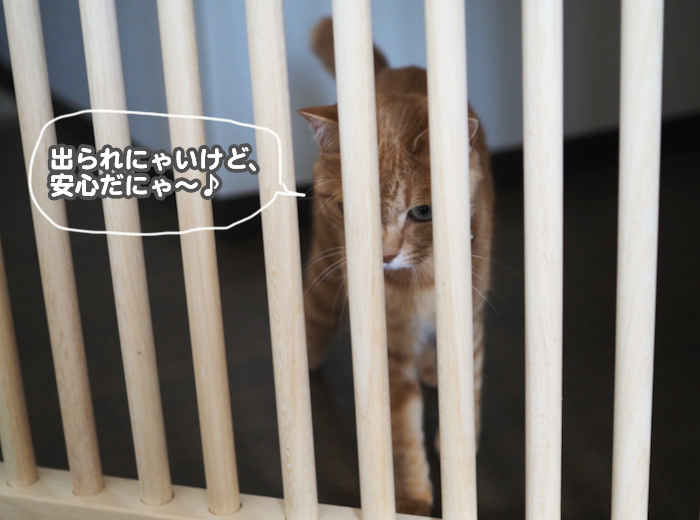 28日夕ブログ6