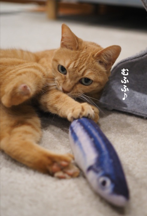 13日夕ブログ６