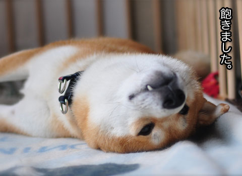 23日ブログ12.jpg