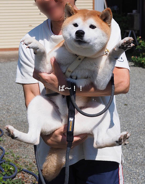 13日ブログ15