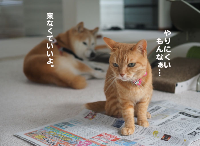 ９日ブログ２