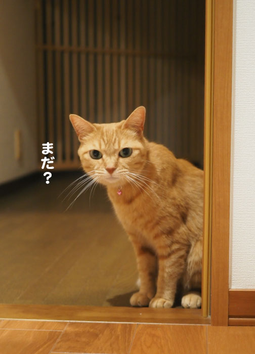 1日ブログ１