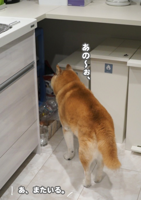 10日夕ブログ２