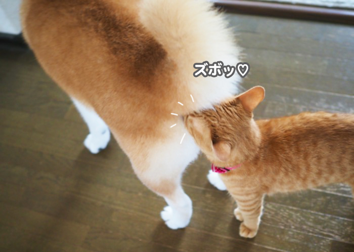 24日夕ブログ４