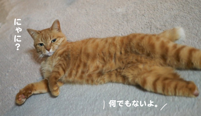 16日夕ブログ３