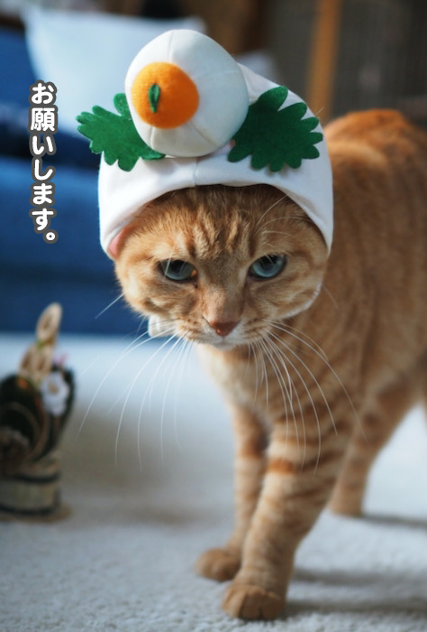 1日ブログ朝６