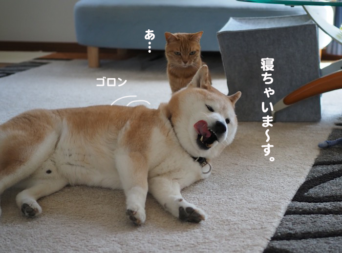 25日夕ブログ4