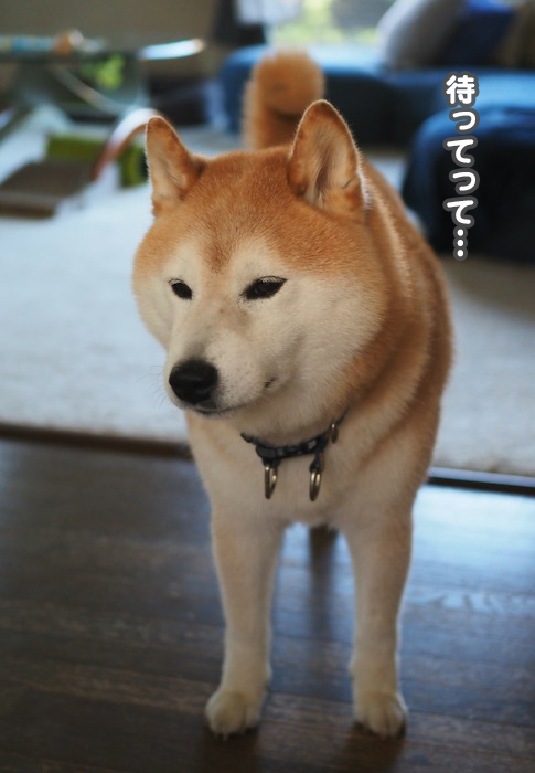 24日夕ブログ５