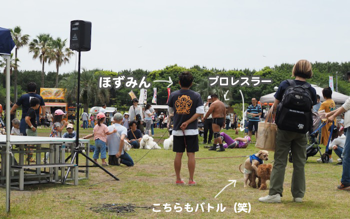 25日夕ブログ4