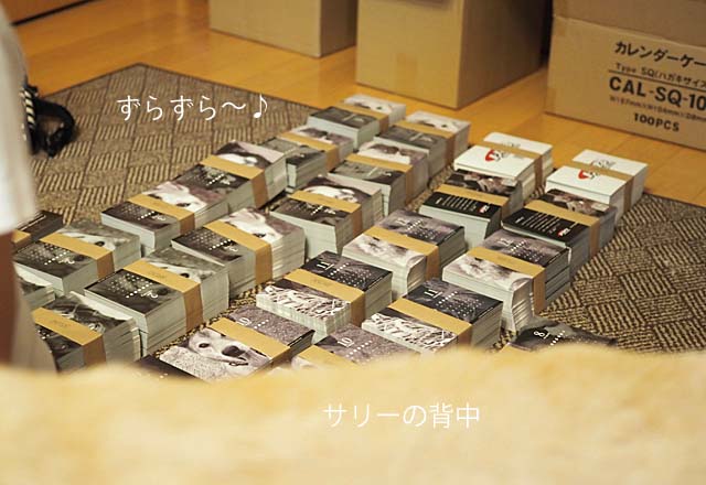 25日ブログ3