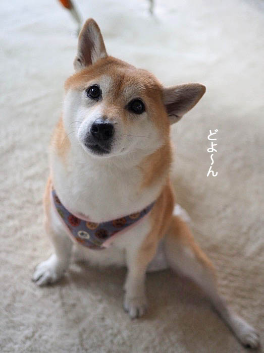 27日朝ブログ３