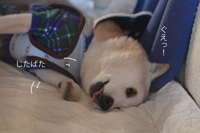 24日ブログ7