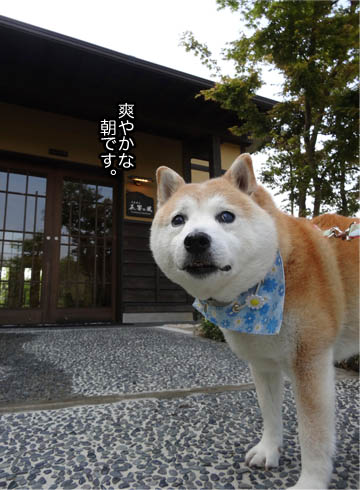 21日ブログ3.jpg
