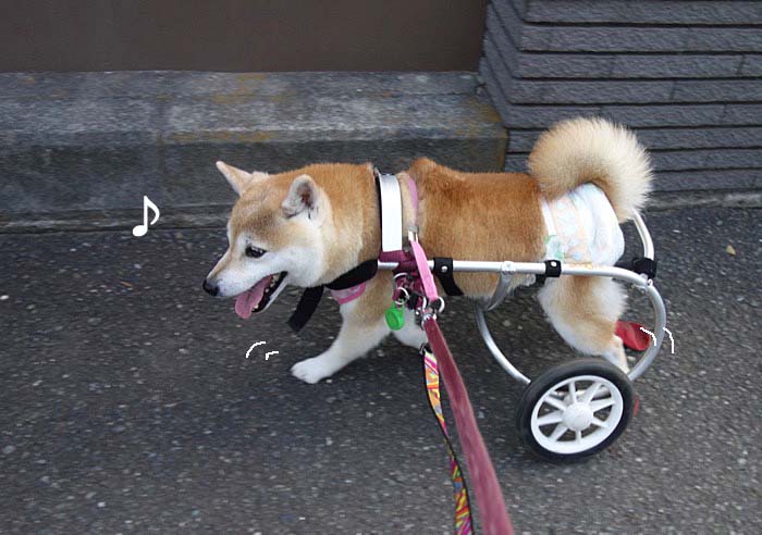 6日午後ブログ2