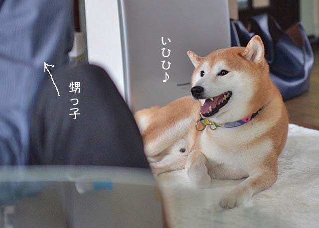 17日ブログ5