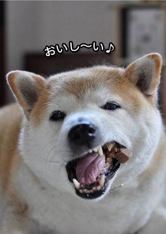 29日ブログ6.jpg