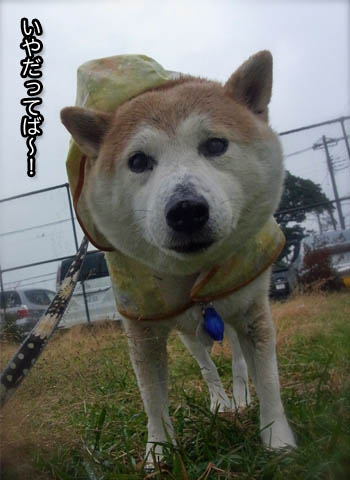 22日ブログ2.jpg
