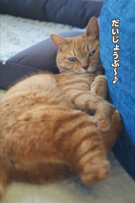 3日ブログ４