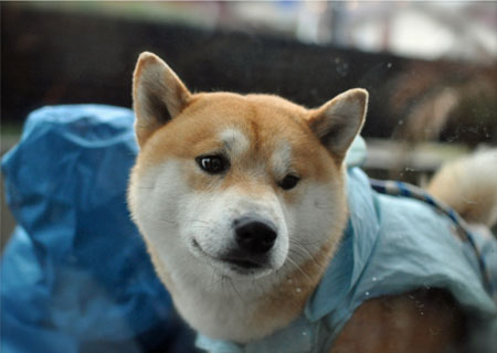 6日ブログ3.jpg