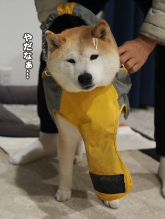 29日ブログ2