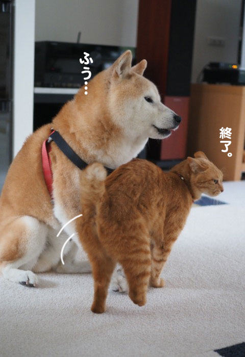14日ブログ４