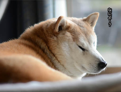 20日ブログ6.jpg