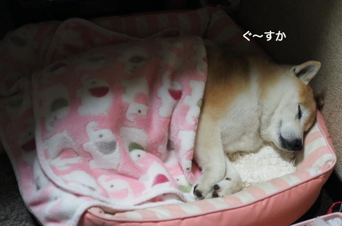 21日夜ブログ５