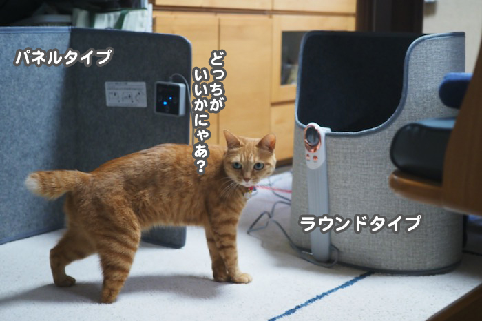 4日夕ブログ３