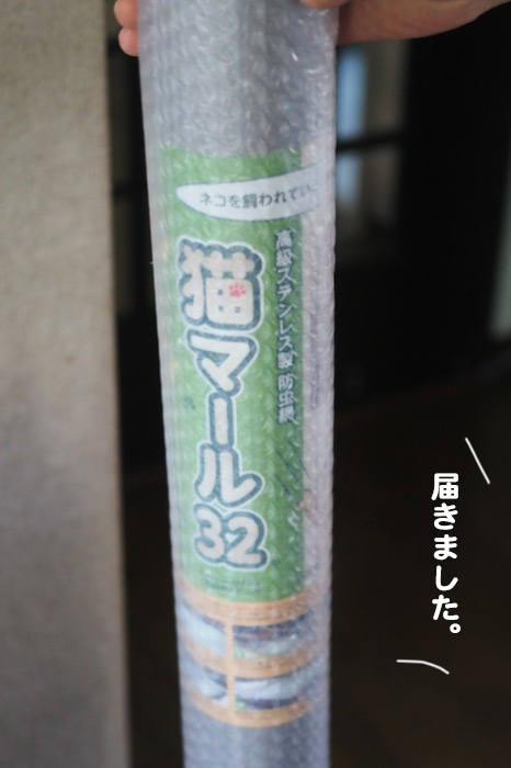 14日夕ブログ２