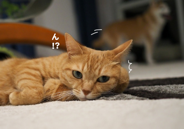 12日夕ブログ３