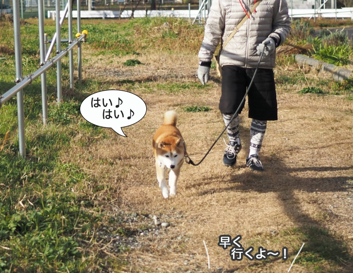 12日夜ブログ１