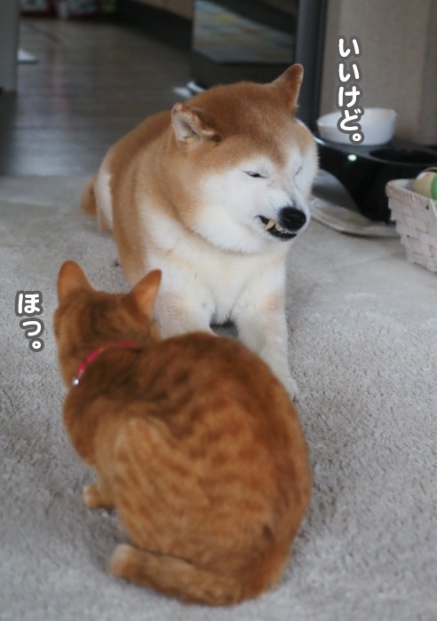 30日夕ブログ８