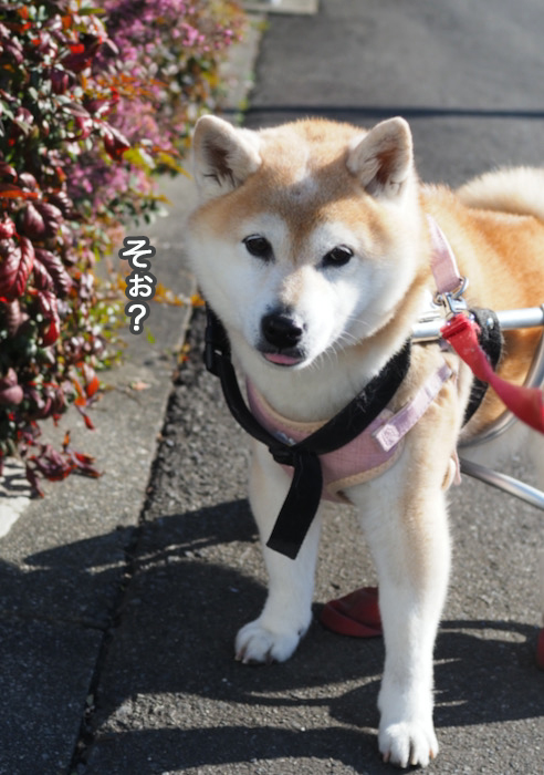 24日ブログ３