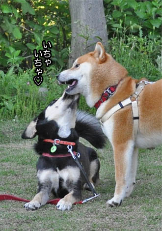 7日ブログ９.jpg