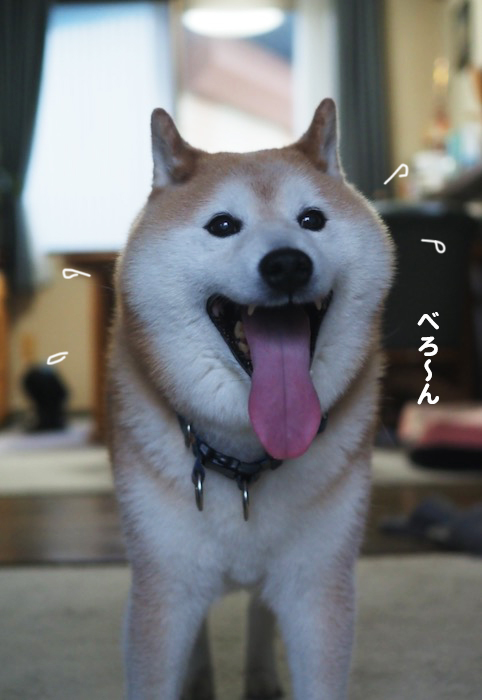 4日夕ブログ４