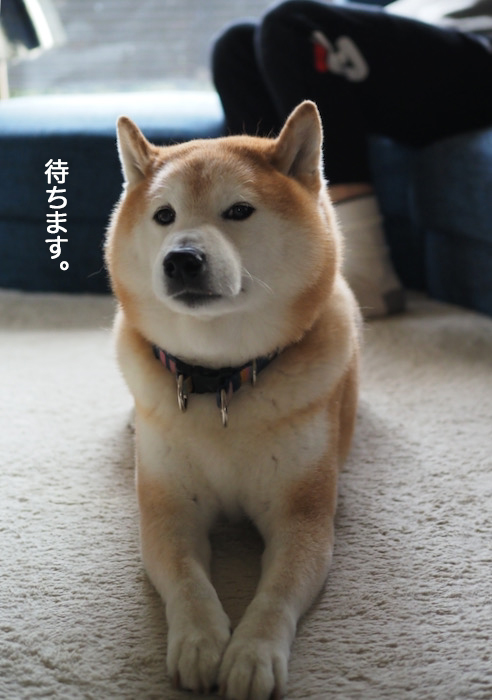 8日夜ブログ５