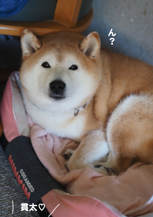10日ブログ１