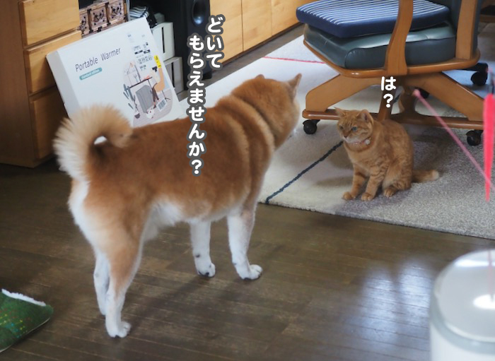 5日ブログ２