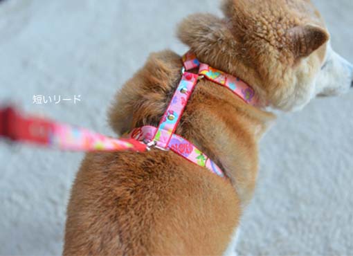 22日ブログ5.jpg