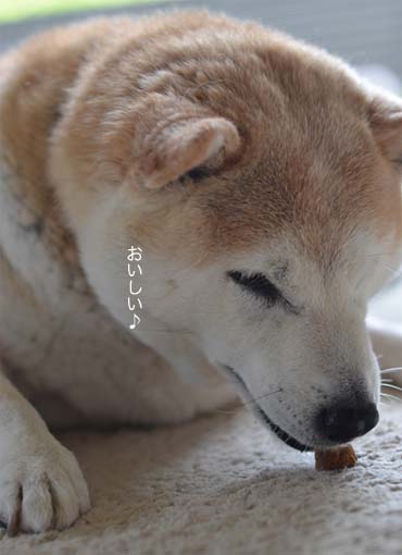 31日ブログ14.jpg