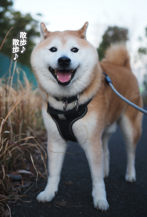 1日夕ブログ２