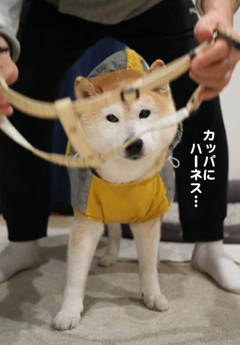 12日ブログ２