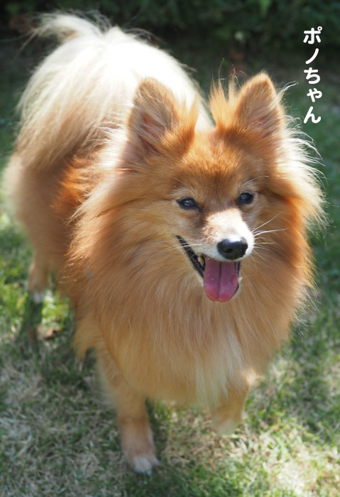 30日夕ブログ８