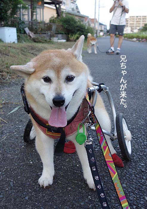 30日夜ブログ２
