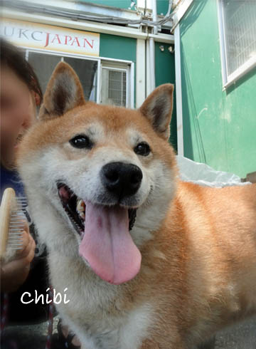 26日ブログ9.jpg