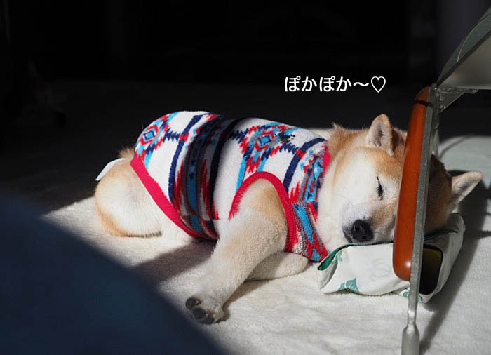 21日ブログ２