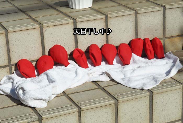 22日ブログ６