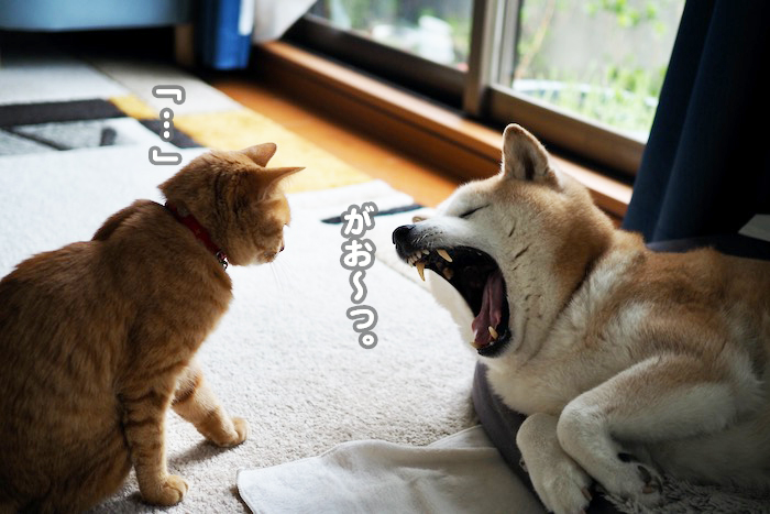 26日ブログ４