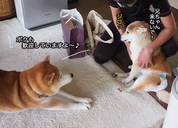 9日夜ブログ６