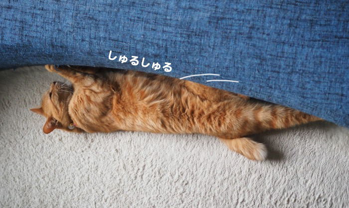 2日夕ブログ4